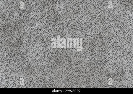 Gray colored fabric cloth with short haired fluffy and soft abstract texture background. Close-up silver surface cloth material, colored background fa Stock Photo