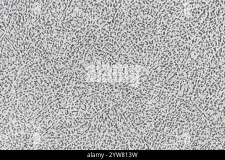 Gray fabric cloth with short pile fluffy and soft abstract texture background. Close-up image of surface level fabric material, silver colored backgro Stock Photo