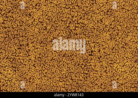 Gold colored fabric material short haired fluffy and soft texture background. Close-up of colour surface cloth material, colored abstract background f Stock Photo
