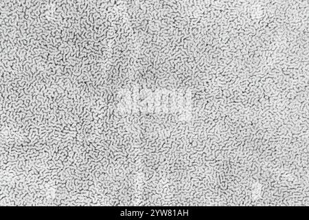 Dark white color fabric cloth with short haired fluffy and soft abstract texture background. Close-up of light gray colour surface textile material, c Stock Photo