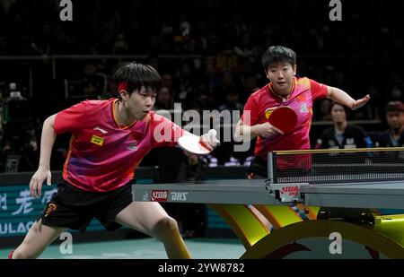 In the opening mixed doubles match of the final on Sunday evening, Olympic champions Wang Chuqin and Sun Yingsha gifted China a favorable start by defeating South Korean duo Cho Dae-seong and Shin Yu-bin. Chengdu,China.8th December 2024. China retained its title at the International Table Tennis Federation (ITTF) Mixed Team World Cup with an 8-1 victory over South Korea in the final here on Dec.8, 2024. As the season-ending tournament of global table tennis, the eight-day tournament features 16 teams. With an unbeaten record across the first nine matches, China led the standings in both the fi Stock Photo