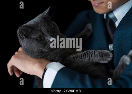 Cat being held by businessman Stock Photo