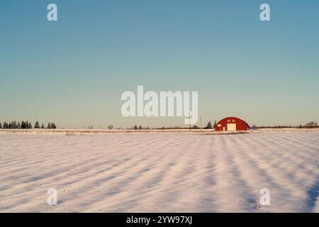 Potato field covered in snow with a potato warehouse in the distance. Stock Photo