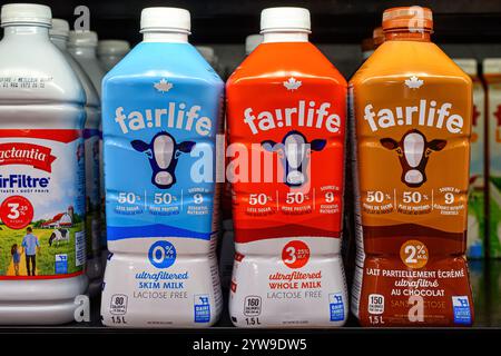 Toronto, Canada - November 30, 2024: Plastic bottles and label for Fairlife milk on a retail display. Stock Photo