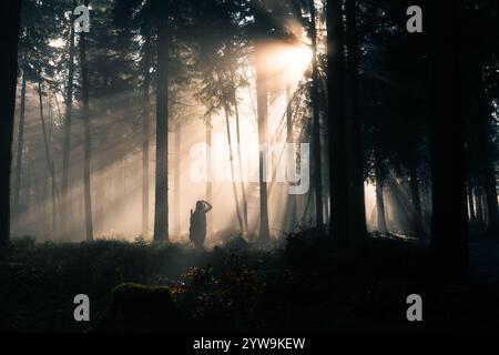 Enigmatic Forest Rays A Beautiful and Serene Nature Scene with a female photographer Stock Photo