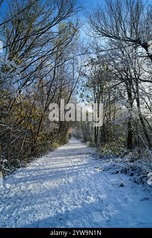 UK, South Yorkshire, Barnsley, Dearne Valley Country Park, Trans Pennine Trail after snowfall. Stock Photo