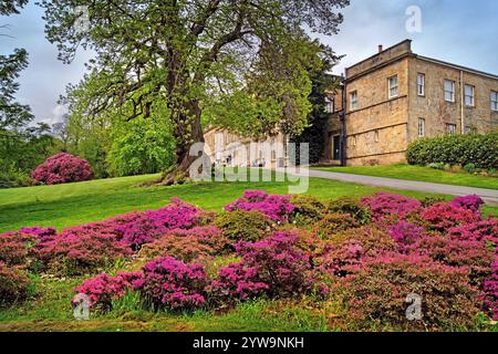 UK, South Yorkshire, Barnsley, Cawthorne, Cannon Hall. Stock Photo