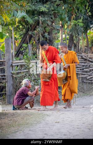 Local women giving rice to young buddhist monks in early morning on Don Daeng island on the Mekong River, Muang, near Pakse, Champasak Province, Laos, Stock Photo