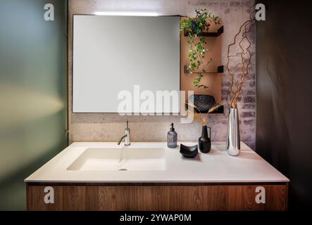 Modern bathroom featuring a sleek sink, mirror, and decorative plants, creating a stylish and inviting space Stock Photo