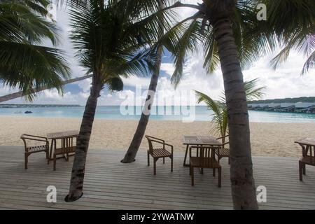 Beachside patio on with palm trees Stock Photo