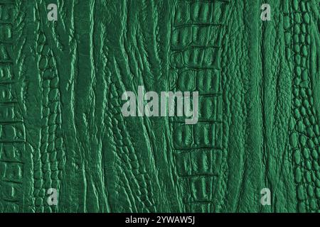 Crocodile genuine leather structure texture macro, green colored leatherette surface with metallic, pearlescent effect. Reptile skin close up, macro b Stock Photo