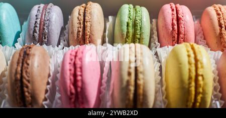 Banner of Bright French Macarons with white paperpan in two row, plastic transparent packaging box on kitchen countertop, colorful cakes various flavo Stock Photo