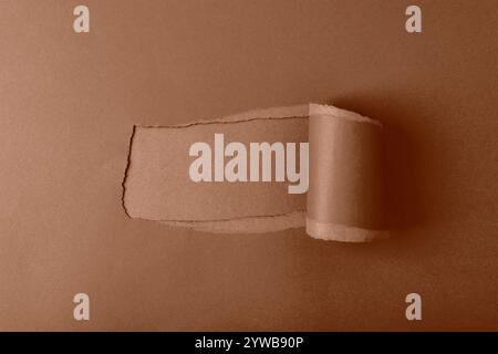 A piece of brown torn paper with a rolled edge against a solid brown background, flat lay and copy space. Stock Photo