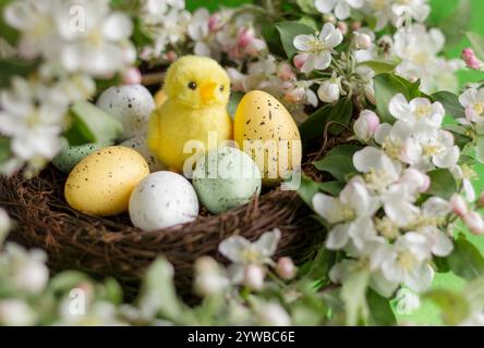 Yellow toy chick in a nest with coloured eggs and surrounded by blossom Stock Photo