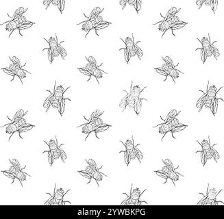 Vector seamless pattern of hand drawn doodle sketch fly insect isolated on white background Stock Vector
