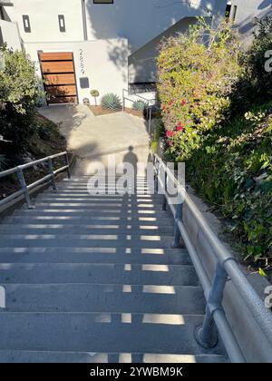 long shadows from top of stairs Stock Photo
