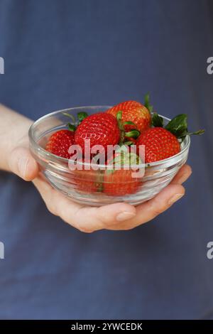 Close up of Caucasian male hand holding bowl of strawberries Stock Photo
