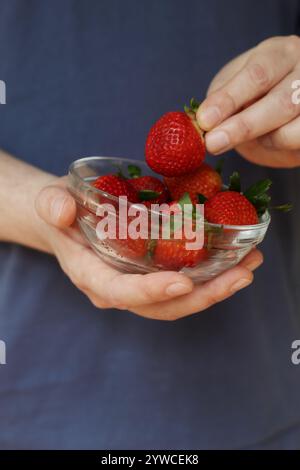 Close up of Caucasian male hand holding bowl of strawberries Stock Photo