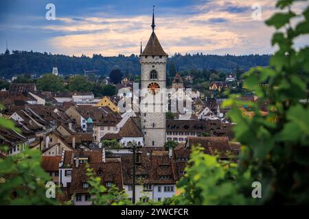 Scenic aerial view of Schaffhausen, Switzerland below the Munot fortress, vibrant vineyards and the Protestant Church of St Johann in the distance Stock Photo