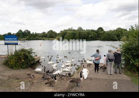 Feeding the ducks and swans at Sale Water Park, Trafford, Greater Manchester, England, United Kingdom Stock Photo