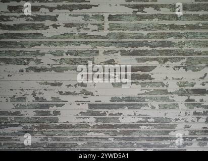 Weathered wooden beadboard wall with cream colored paint chipping off to show previous green paint in the woodgrain. Stock Photo