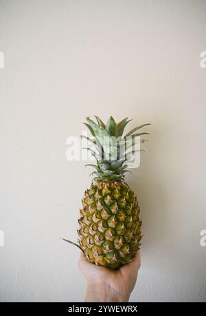 Organic pineapple in human hand vertical shot. Stock Photo