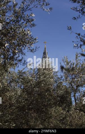 Pointed upper part of the bell tower of the Russian Orthodox Church of Ascension in Tur Malka on Mt. of Olives seen through branches of Olive Trees Stock Photo