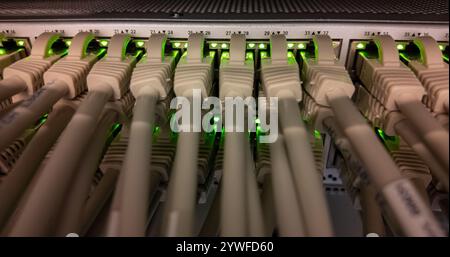 A collection of ethernet cables is interconnected to a server unit Stock Photo