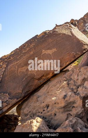 Archaeological rock carvings of animals. Petroglyphs on stones close up ...