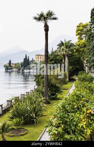 Park, spring, Villa Monastero, Varenna, Province of Lecco, Lombardy, Italy, Europe Stock Photo