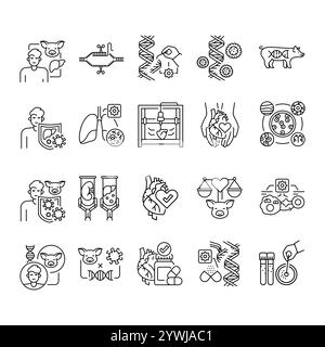 Genetically modified organs for transplantation black line icons set. Vector isolated element. Editable stroke. Stock Vector