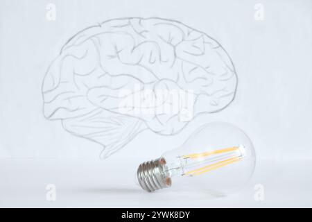 Idea, artificial itelligence, innovation and creativity Business concept, with a human brain and a Light bulb on white background. Free copy space. Stock Photo