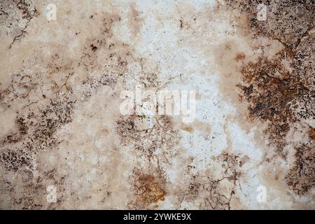 Random, Unique, Natural Cannstatter Travertine Texture - Freshwater Limestone Background Stock Photo