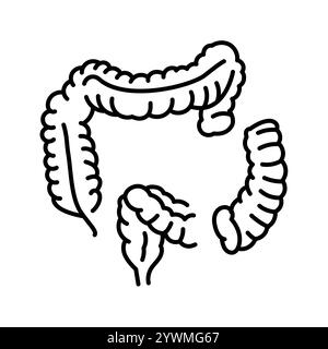 Colectomy line black icon. Sign for web page, mobile app, button, logo. Vector isolated button. Editable stroke. Stock Vector