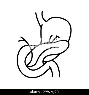 Spleen. realistic internal organ of Lymphatic system. vector ...