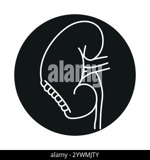 Nephrectomy line black icon. Sign for web page, mobile app, button ...