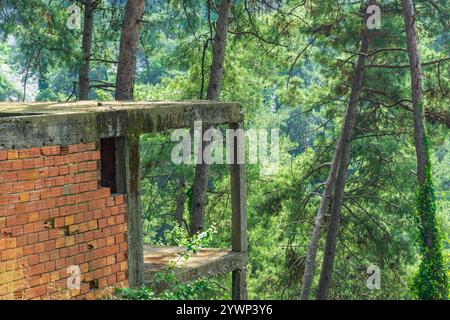 Abandoned Structure Amidst Forest Greenery. Brick and Concrete Skeleton in the Woods, selective focus Stock Photo