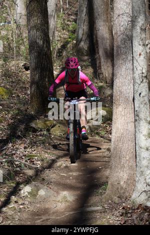 Tennessee National Mountain Bike Festival 2024 at Windrock Bike Park in Oliver Springs, Tennessee, USA. Stock Photo