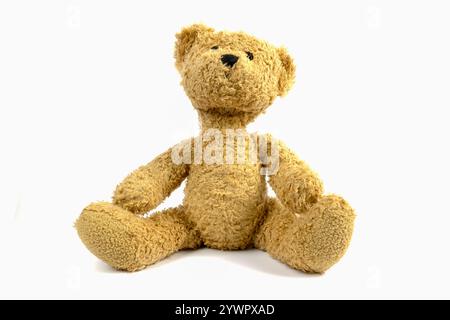 Teddy bear on a white background Stock Photo