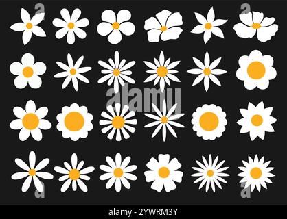 Flower white clipart drawing set. White and yellow spring flowers collection like daisy, chamomile, gerbera, sunflower, daffodil, crocus and aster Stock Vector
