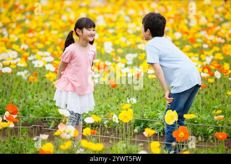 Brother and sister facing each other in a field of poppies Stock Photo