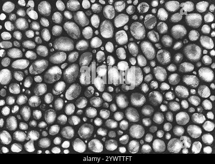 The background is filled with circles and ovals of different sizes. Ink. Different shades of gray, black and white. The background is black. Snake ski Stock Photo