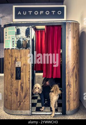 Photo booth with curtain partially drawn, as a patient Cockapoo waits for its owner to finish their photo session. Stock Photo