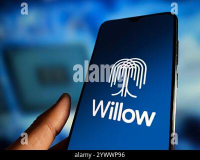 SUQIAN, CHINA - DECEMBER 12, 2024 - Illustration Google launches the groundbreaking quantum chip Willow,  Suqian, Jiangsu province, China, December 12 Stock Photo