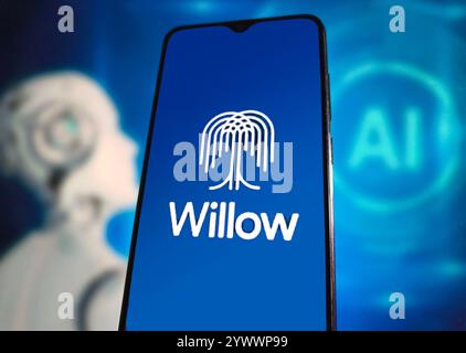 SUQIAN, CHINA - DECEMBER 12, 2024 - Illustration Google launches the groundbreaking quantum chip Willow,  Suqian, Jiangsu province, China, December 12 Stock Photo
