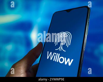 SUQIAN, CHINA - DECEMBER 12, 2024 - Illustration Google launches the groundbreaking quantum chip Willow,  Suqian, Jiangsu province, China, December 12 Stock Photo