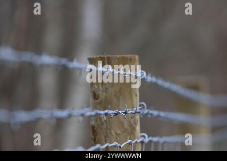 close up view of cattle fencing topped with barbed wire Stock Photo