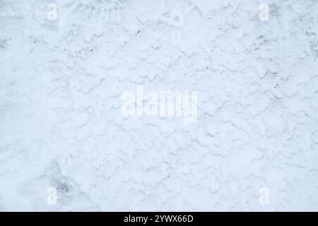 Close-up of a surface covered with freshly fallen snow in Stockholm, showcasing its fine and powdery texture. Stock Photo