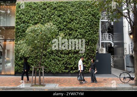 Couple standing on footpath in front of wall covered with green climbing plants in Ginza,Tokyo, Japan, Asia. Stock Photo