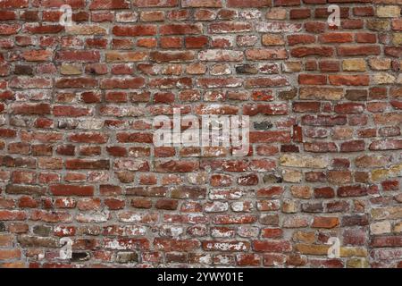 Old brick wall background close up Stock Photo